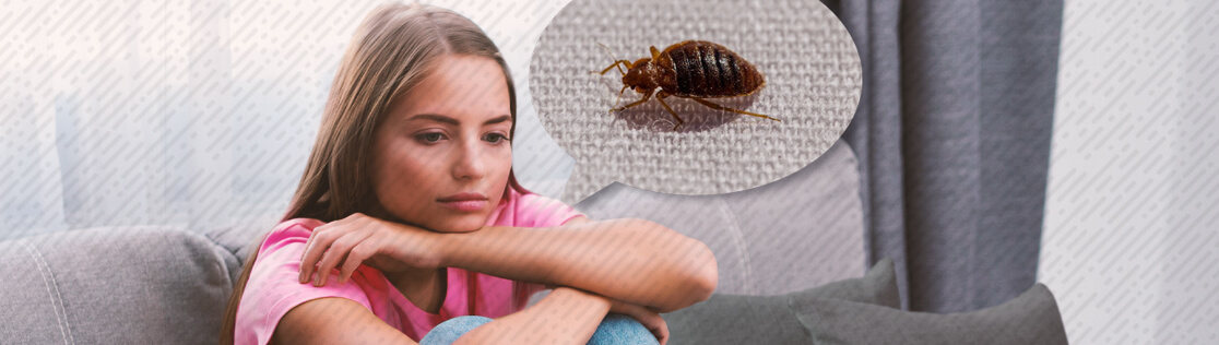 OTIS | Pest Prevention Tips To Help Avoid Heartbreak!