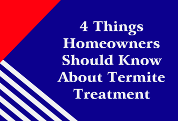 4 Things Homeowners Should Know About Termite Treatment in Knoxville, TN