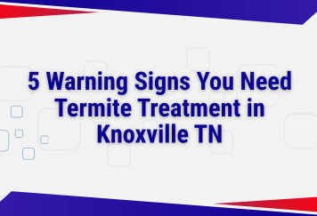 5 Warning Signs You Need Termite Treatment in Knoxville TN