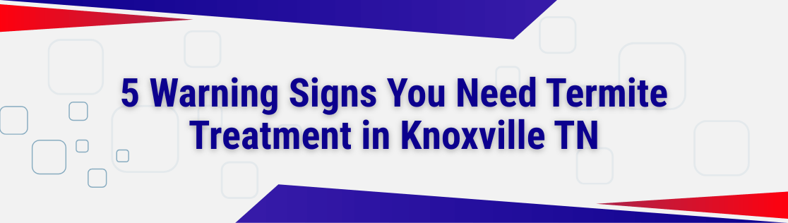 5 Warning Signs You Need Termite Treatment in Knoxville TN