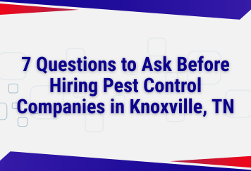 7 Questions to Ask Before Hiring Pest Control Companies in Knoxville, TN