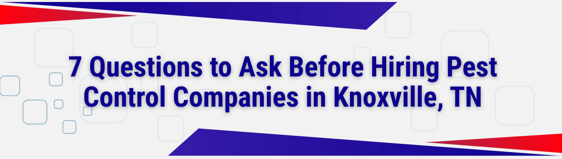 7 Questions to Ask Before Hiring Pest Control Companies in Knoxville, TN