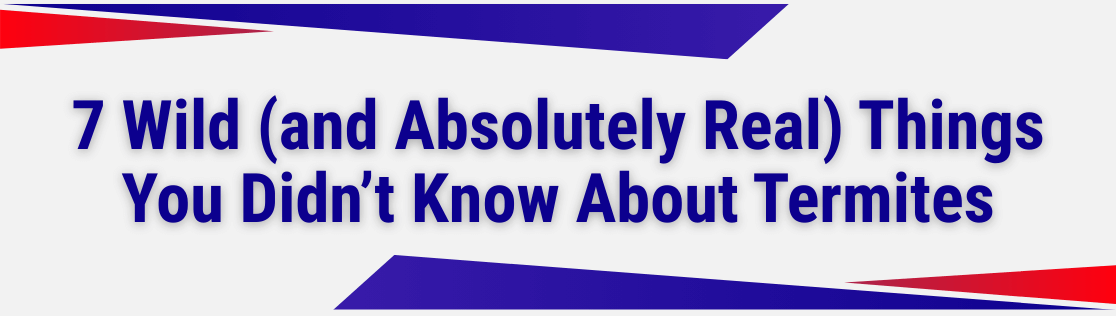 7 Wild (and Absolutely Real) Things You Didn’t Know About Termites — And Why Knoxville Homes Need Professional Help