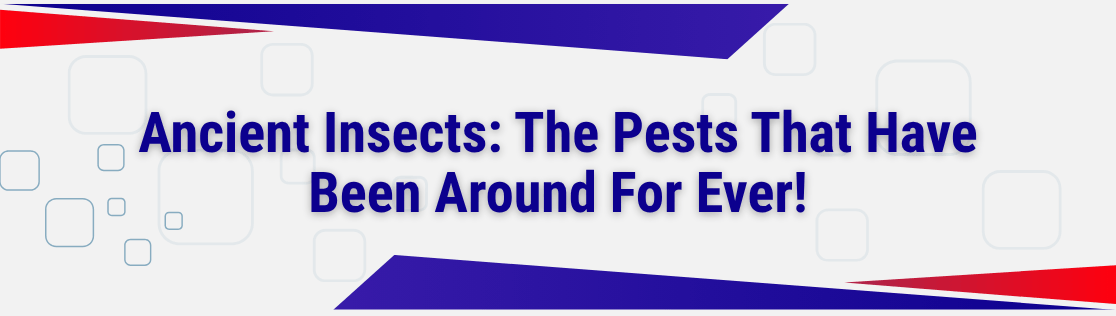 Ancient Insects: The Pests That Have Been Around For Ever!