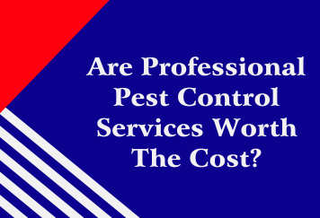 Are Professional Pest Control Services Worth the Cost?
