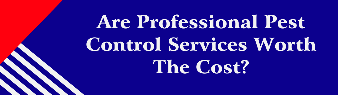 Are Professional Pest Control Services Worth the Cost?