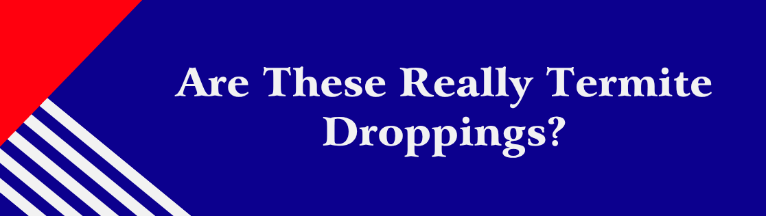 Are These Really Termite Droppings?