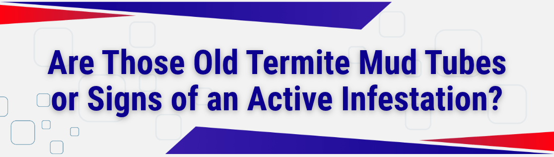 Are Those Old Termite Mud Tubes or Signs of an Active Infestation?