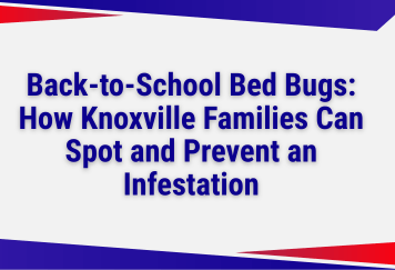 Back-to-School Bed Bugs: How Knoxville Families Can Spot and Prevent an Infestation