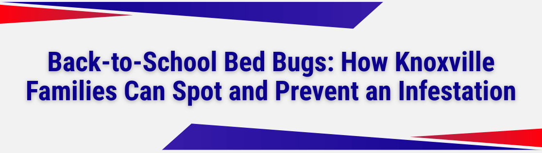 Back-to-School Bed Bugs: How Knoxville Families Can Spot and Prevent an Infestation