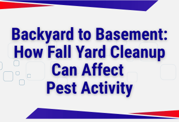 Backyard to Basement: How Fall Yard Cleanup Can Affect Pest Activity