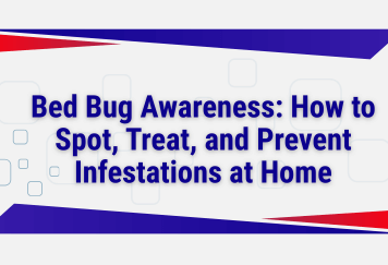 Bed Bug Awareness: How to Spot, Treat, and Prevent Infestations at Home