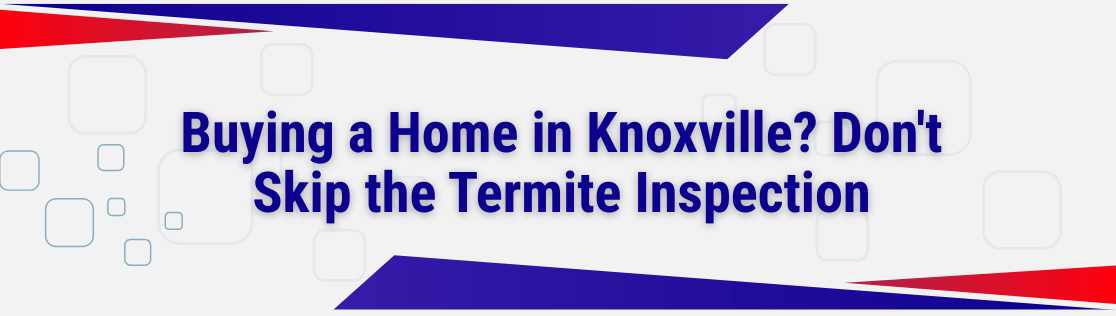 Buying a Home in Knoxville? Don't Skip the Termite Inspection