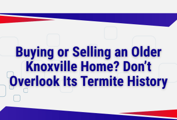 Buying or Selling an Older Knoxville Home? Don't Overlook Its Termite History