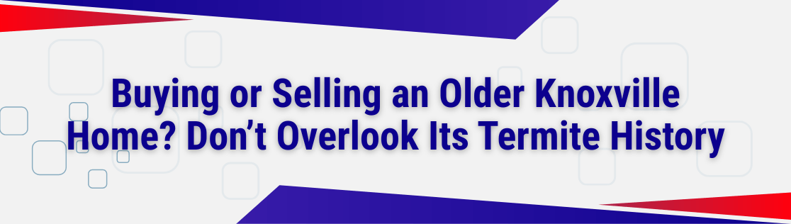 Buying or Selling an Older Knoxville Home? Don't Overlook Its Termite History