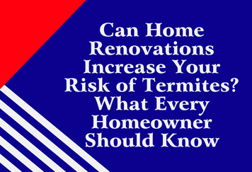 Can Home Renovations Increase Your Risk of Termites? What Every Homeowner Should Know