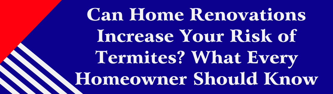Can Home Renovations Increase Your Risk of Termites? What Every Homeowner Should Know