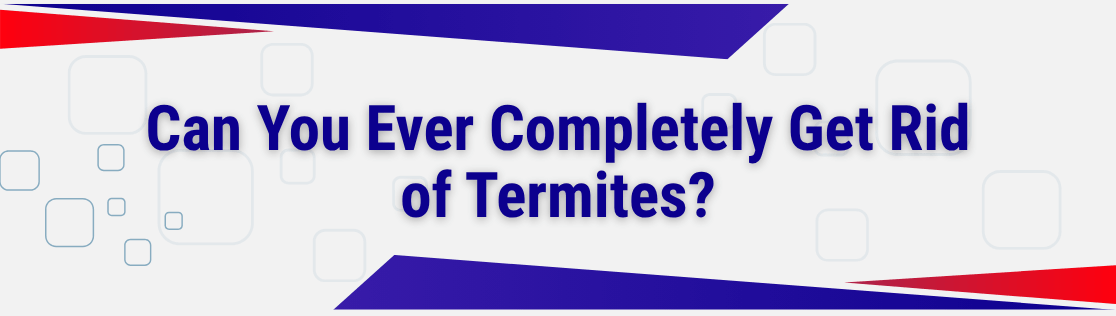 Can You Ever Completely Get Rid of Termites?