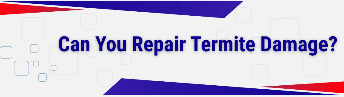 Can You Repair Termite Damage?