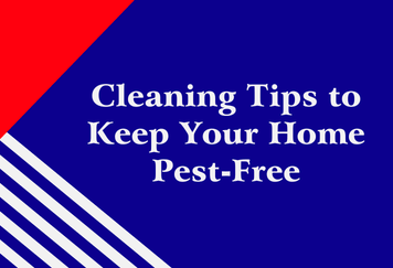 Cleaning Tips to Keep Your Home Pest-Free