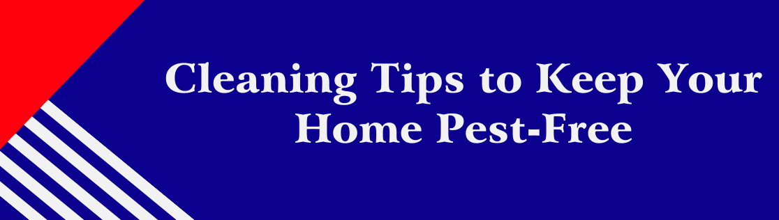Cleaning Tips to Keep Your Home Pest-Free
