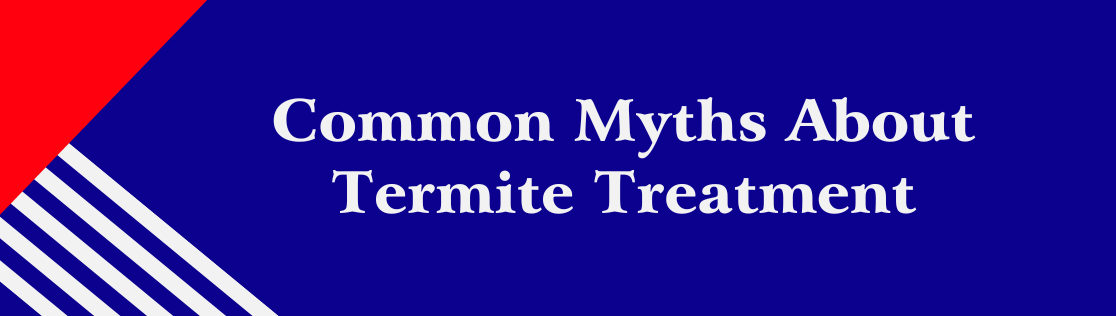 Common Myths About Termite Treatment