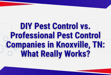 DIY Pest Control vs. Professional Pest Control Companies in Knoxville, TN: What Really Works?