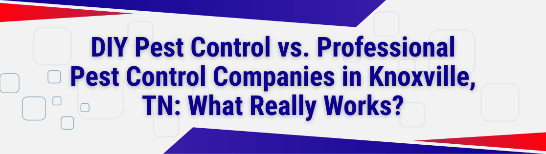 DIY Pest Control vs. Professional Pest Control Companies in Knoxville, TN: What Really Works?