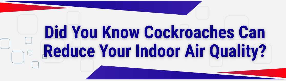 Did You Know Cockroaches Can Reduce Your Indoor Air Quality?