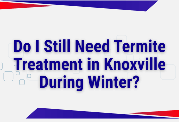 Do I Still Need Termite Treatment in Knoxville During Winter?