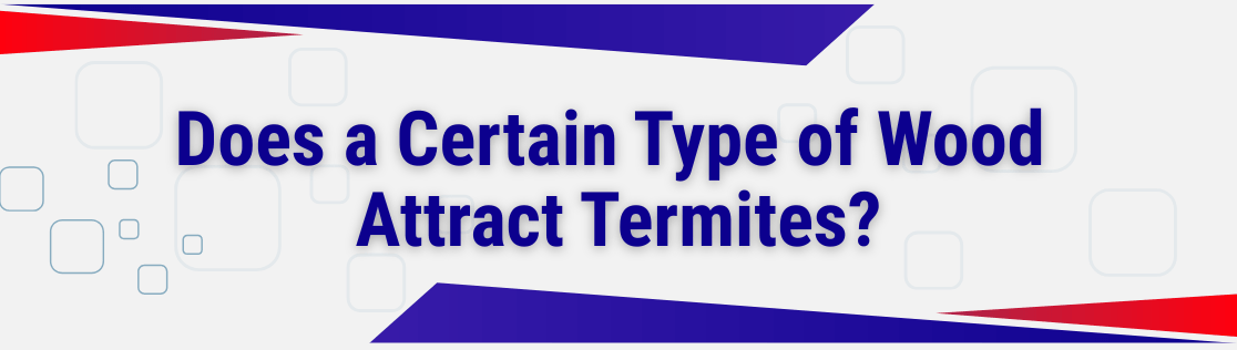 Does a Certain Type of Wood Attract Termites?
