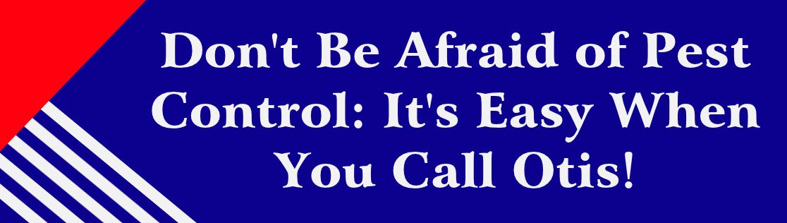 Don't Be Afraid of Pest Control: It's Easy When You Call Otis!