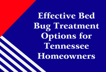 Effective Bed Bug Treatment Options for Tennessee Homeowners