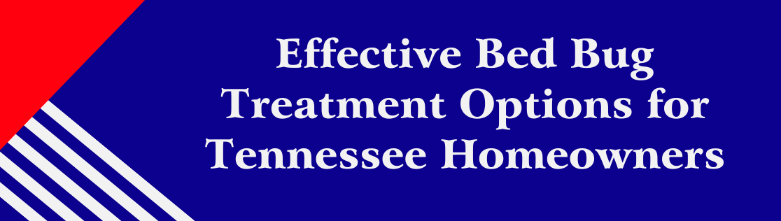 Effective Bed Bug Treatment Options for Tennessee Homeowners