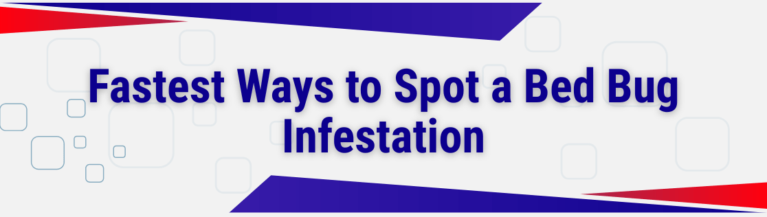 Fastest Ways to Spot a Bed Bug Infestation