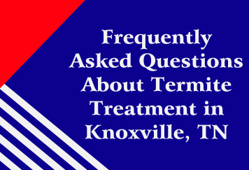 Frequently Asked Questions About Termite Treatment in Knoxville, TN
