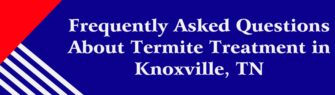 Frequently Asked Questions About Termite Treatment in Knoxville, TN