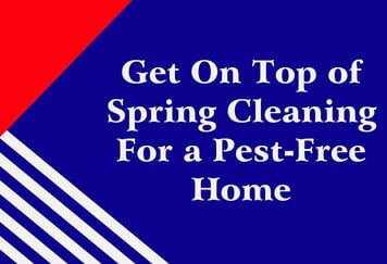 Get On Top of Spring Cleaning For a Pest-Free Home