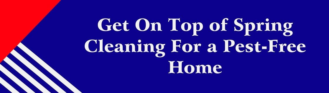 Get On Top of Spring Cleaning For a Pest-Free Home