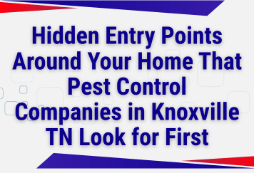 Hidden Entry Points Around Your Home That Pest Control Companies in Knoxville TN Look for First