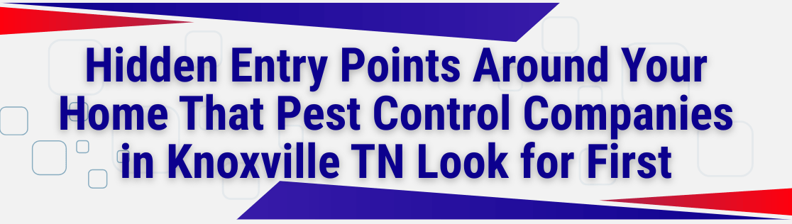Hidden Entry Points Around Your Home That Pest Control Companies in Knoxville TN Look for First