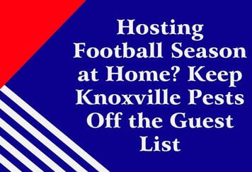 Hosting Football Season at Home? Keep Knoxville Pests Off the Guest List