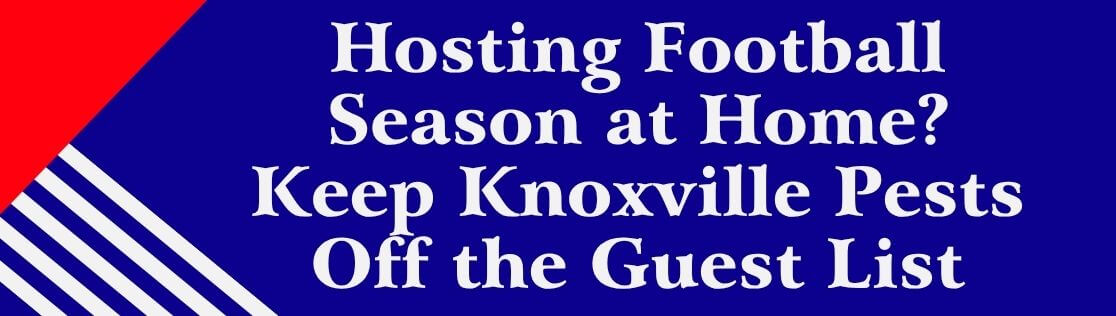 Hosting Football Season at Home? Keep Knoxville Pests Off the Guest List