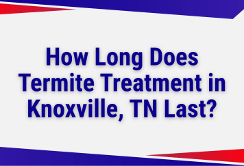 How Long Does Termite Treatment in Knoxville, TN Last? Understanding Warranties and Re-Treatment Schedules