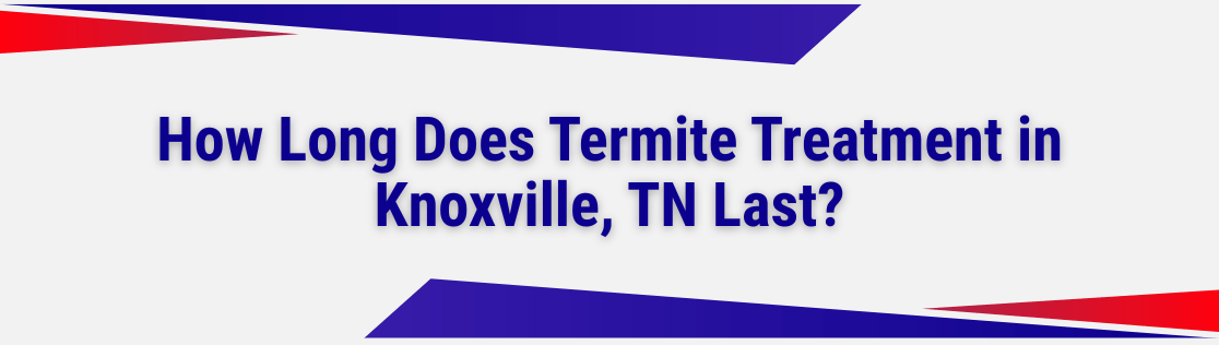 How Long Does Termite Treatment in Knoxville, TN Last? Understanding Warranties and Re-Treatment Schedules