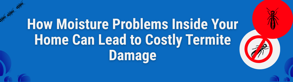 How Moisture Problems Inside Your Home Can Lead to Costly Termite Damage