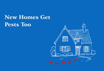 How New Construction Can Still Develop Pest Problems During the First Year