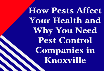 How Pests Affect Your Health and Why You Need Pest Control Companies in Knoxville, TN