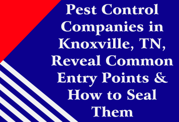 Pest Control Companies in Knoxville, TN, Reveal Common Entry Points & How to Seal Them