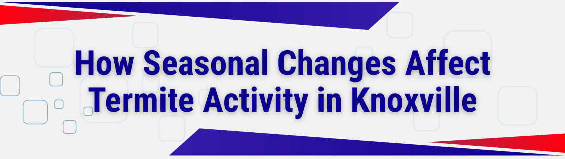 How Seasonal Changes Affect Termite Activity in Knoxville